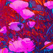 Flowers2_card
