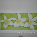 Sany3116_square