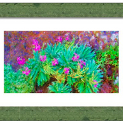 Point_sur_lighthouse_flowers_card