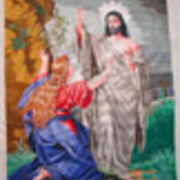 6666_card