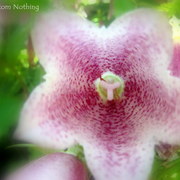 Img_3995-1_card