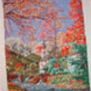 6363_card
