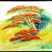 Flamboyant-tree_on_bali__island_-_caran_d_ache-aquarellstift_auf_b_tten-papier_60_x_80cm--email_square