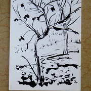 Dsc00319_card