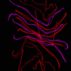 120417b_thumb