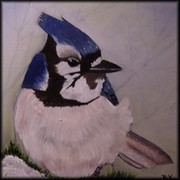 Bluejaybybarbaraframed_card