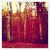 Red_autumn_tiny_square