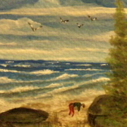 The_shell_collector_card