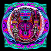 Oval-facebulged-mrgd2284423_thumb