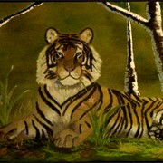 2tigerinframe_card