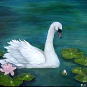 Muteswan_card