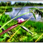 Lazyriver_card