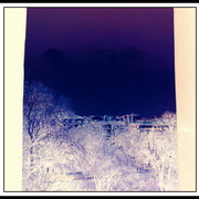 ______3607_card