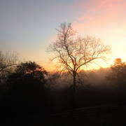 Mistymorning_card