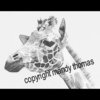 Cnv00012cnnmbgggggg_thumb
