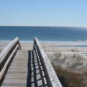 2010_0108beachseagulls0169_card