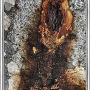 Wounded_card