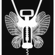 Butterfly_card