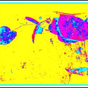 ______3609_card