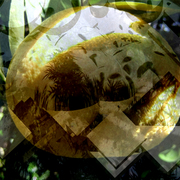 Grapefruit_dreams_card