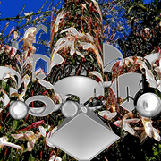 Jasmine_geometries_w_card