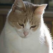 Bette2_card