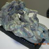 Joseph_gallery_131_thumb