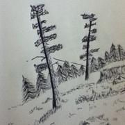 Img_0836_card