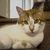 Theo3_tile_tiny_square