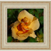 Our_yellow_rose-f_card