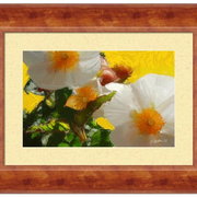 Driveway_flowers-f_card