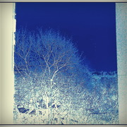______3606_card