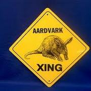 Images_card