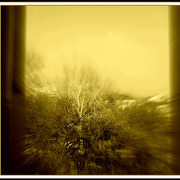 ______3608-3_card