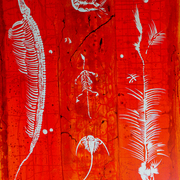 3_fossils