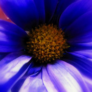 Img_4837_card