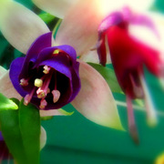 Img_4285_card