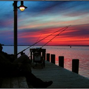 Bay_card