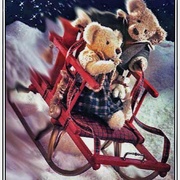 Hangon_card
