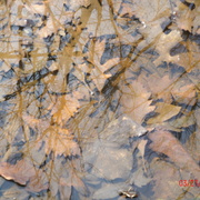 Gedc0421_card