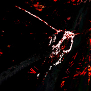 _h127783_card