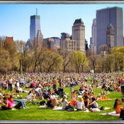 Sundaypark_card