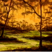 Savannah_sun_card