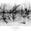 _the_wound__-_r3600__1220mm_x_510mm_thumb