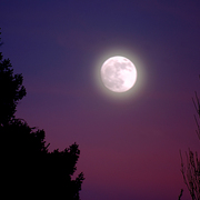 Purple_moon_card