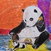 The_sneezing_baby_panda_thumb