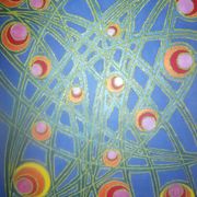 36_2011_fallingneutrinos_card