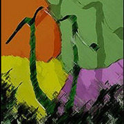 007_card