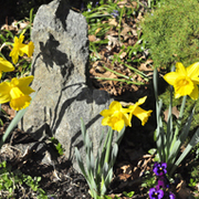 Rocksculpturesm_card