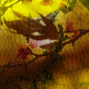 Screenprintsmall_card